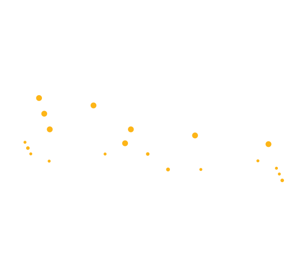 Bozyk Digital Media: proud sponsor of 90s Flannel Fest